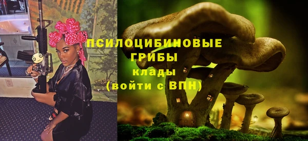 молекула духа Алексин