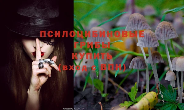 молекула духа Алексин