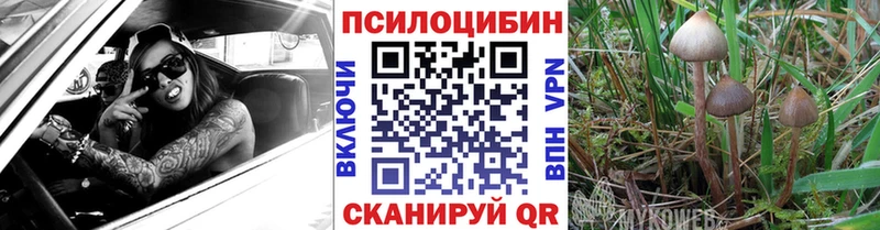 Псилоцибиновые грибы ЛСД  Всеволожск 